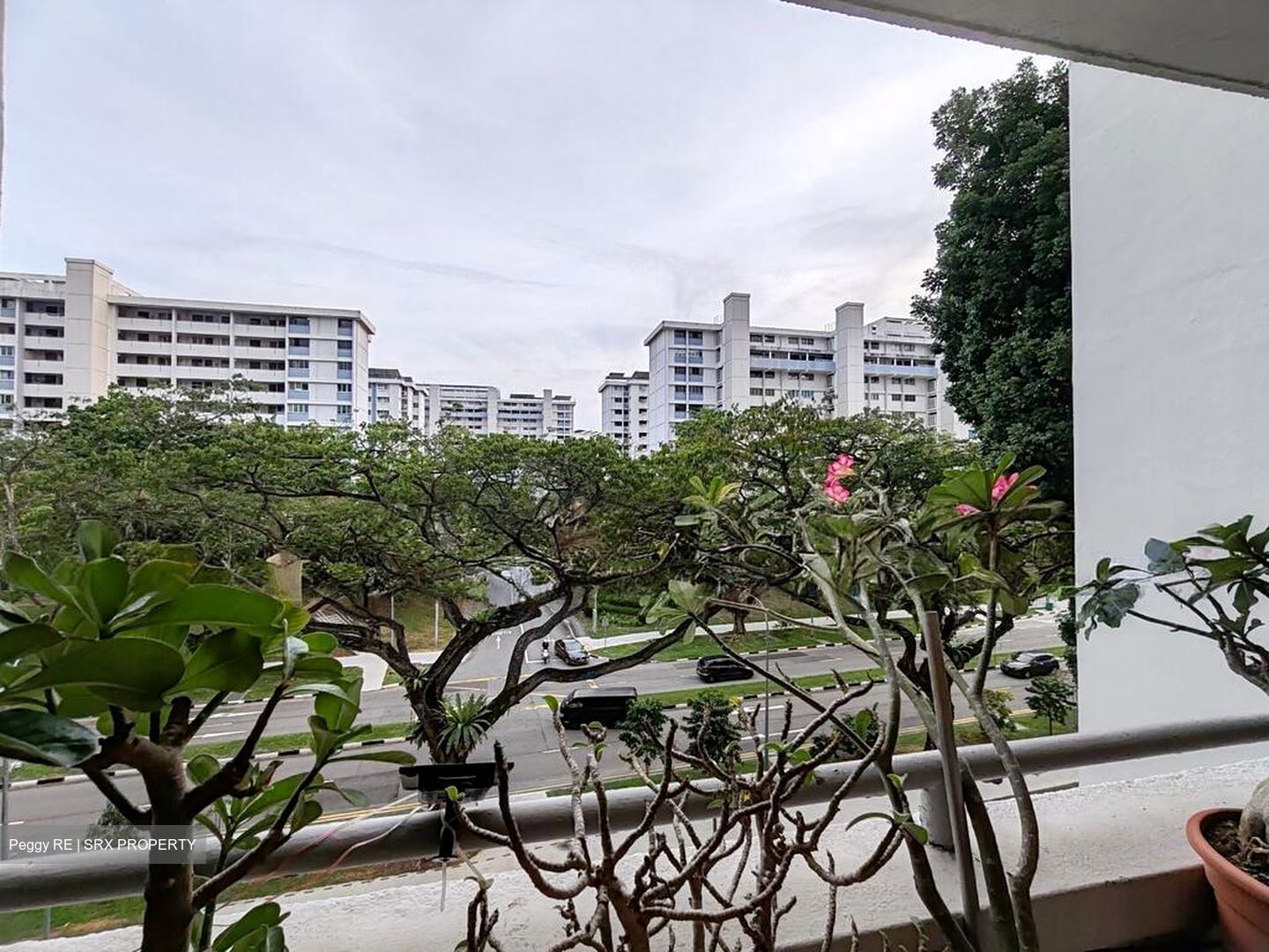 Blk 520 Bedok North Avenue 1 (Bedok), HDB 3 Rooms #502840371